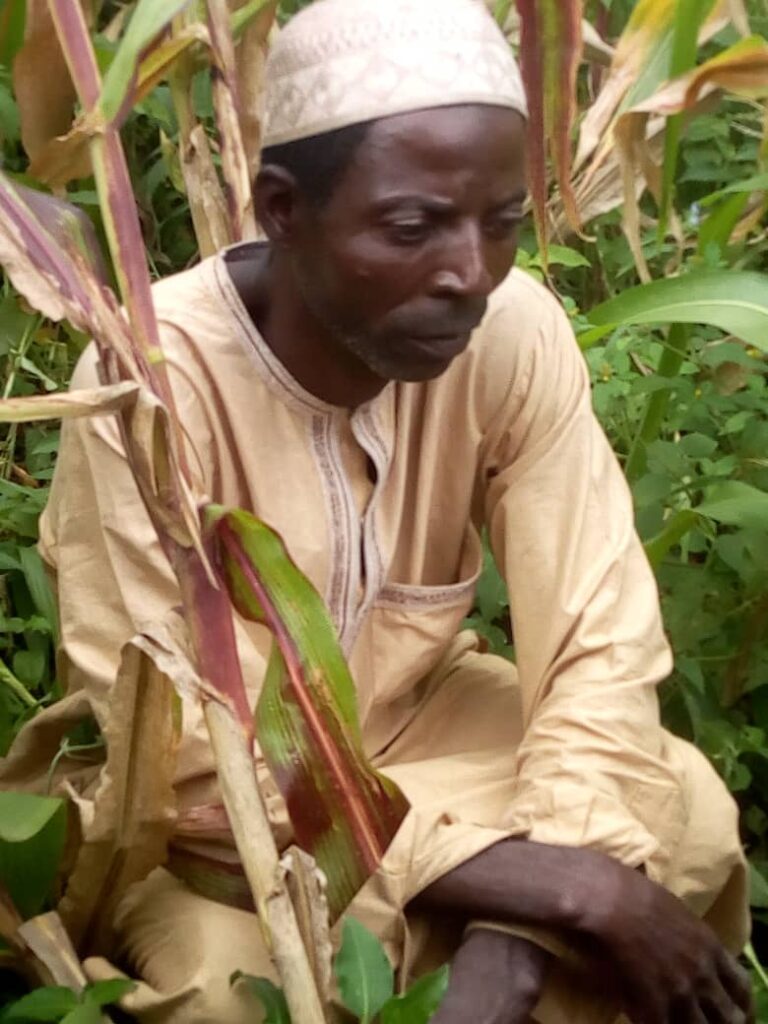 Police exhume baby buried alive by grandfather in Bauchi