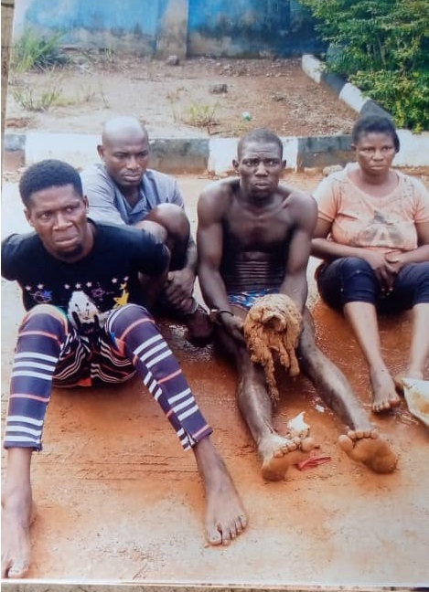Police arrest 4 in Ogun for unlawful possession of human skull