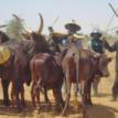 The herdsmen, tribesmen and statesmen: Discordant cord of three strands