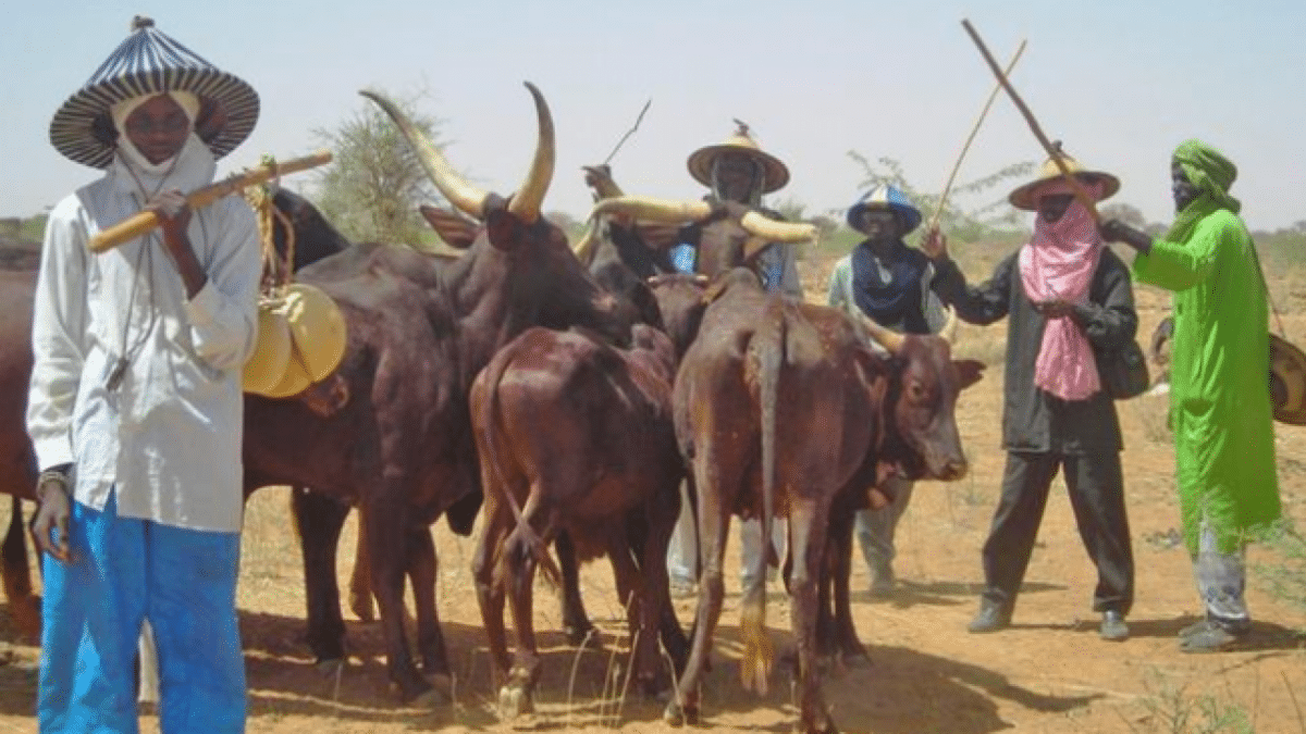 Bandits are displaced herdsmen — MIYETTI ALLAH