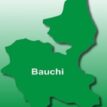 May Day: Bauchi workers want agric loan facilities