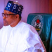 Buhari implementing far reaching social investment programmes – APC