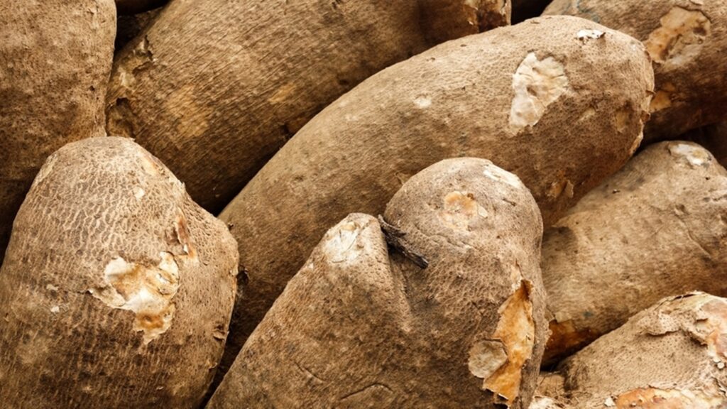 Agribusiness: FG builds capacity of extension workers on yam production
