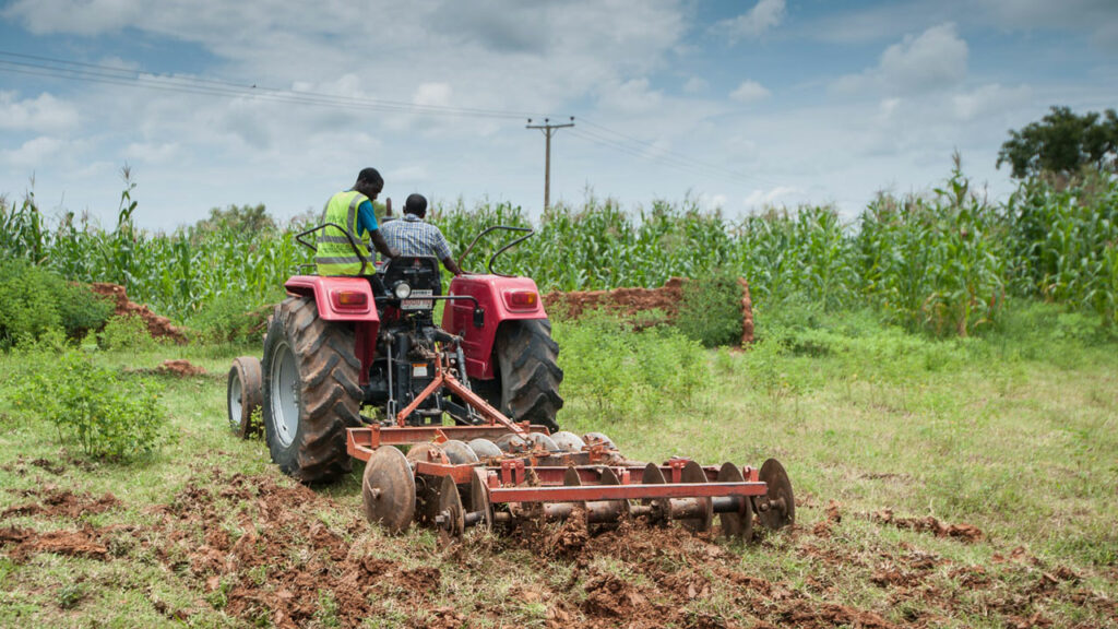 AFEX’s committed to boosting smallholder farmers’ income-earning capacity — Balogun