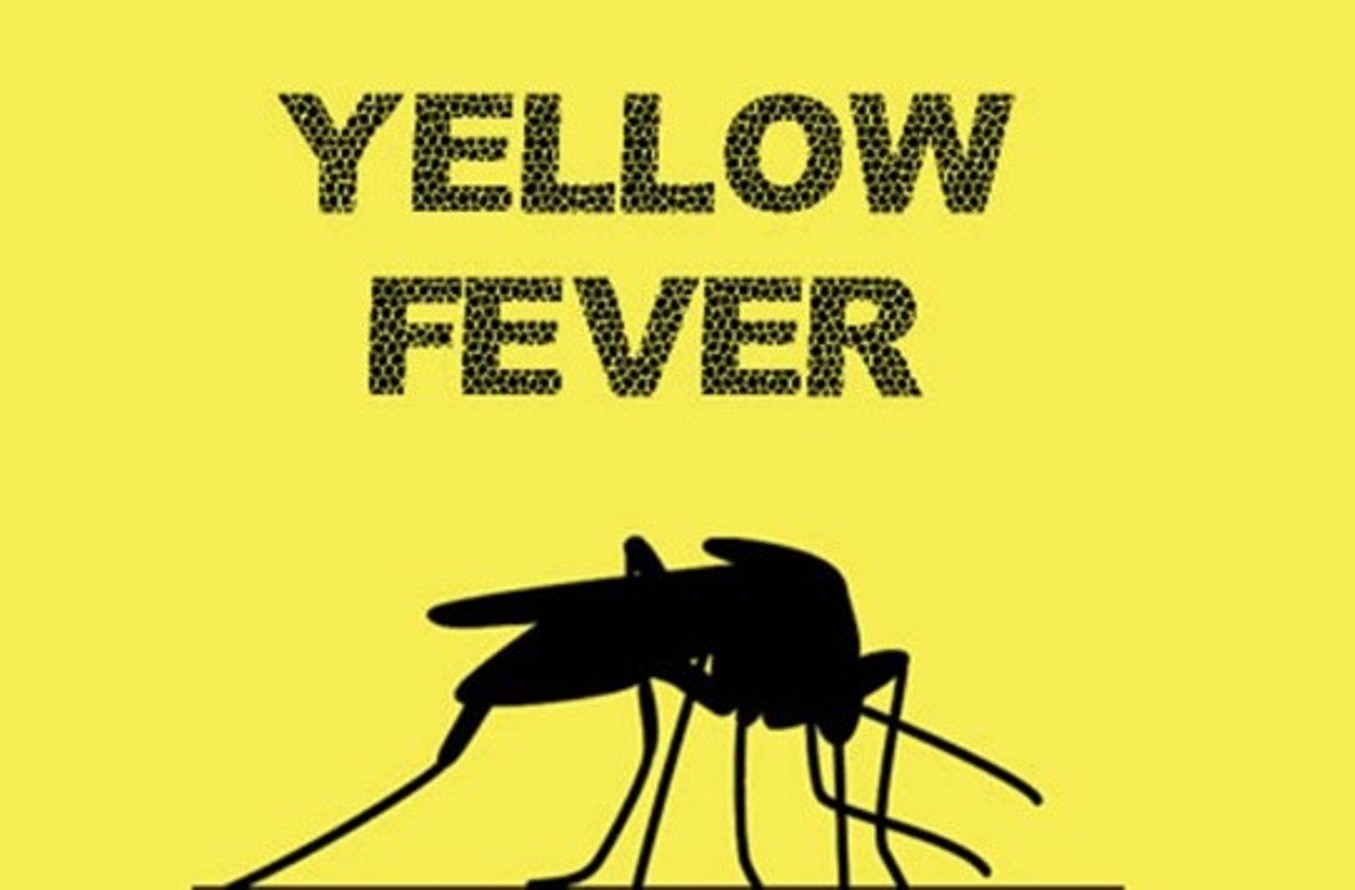 Yellow Fever Death toll hits 133 as disease spreads to more