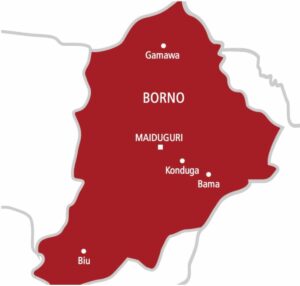 Borno teachers