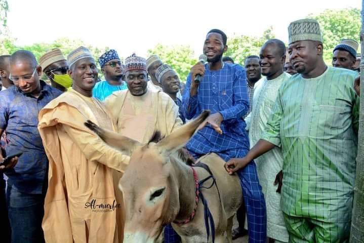 Kano donkey