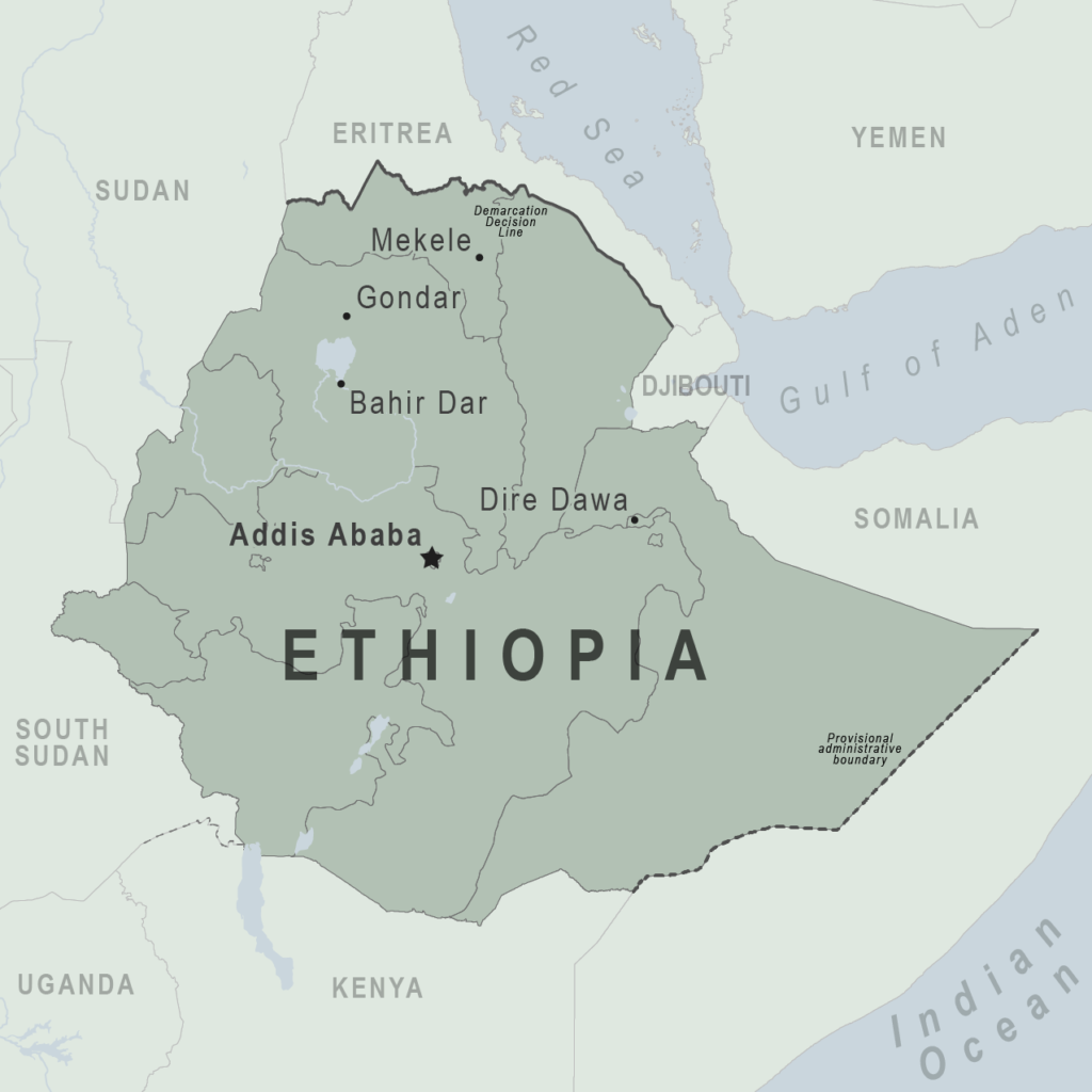 Ethiopia's Tigray crisis: PM claims capture of regional capital Mekelle