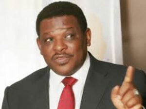 FG to intensify diversification of energy sector ― Minister