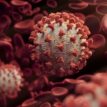Coronavirus: Lockdowns cost Africa over US$65 billion a month