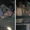 Hold kidnappers of Kankara schoolboys accountable, US urges Nigeria