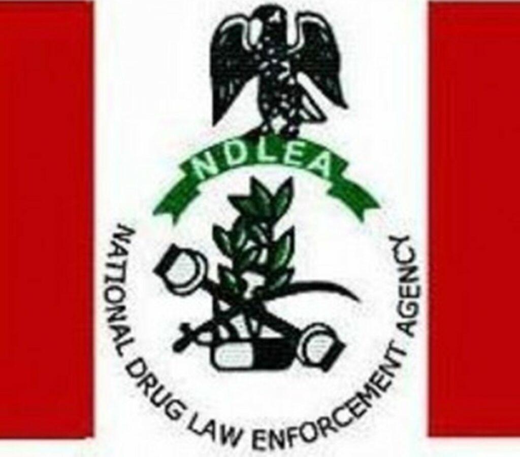 NDLEA arrests suspect with 135kg of hemp in Kano