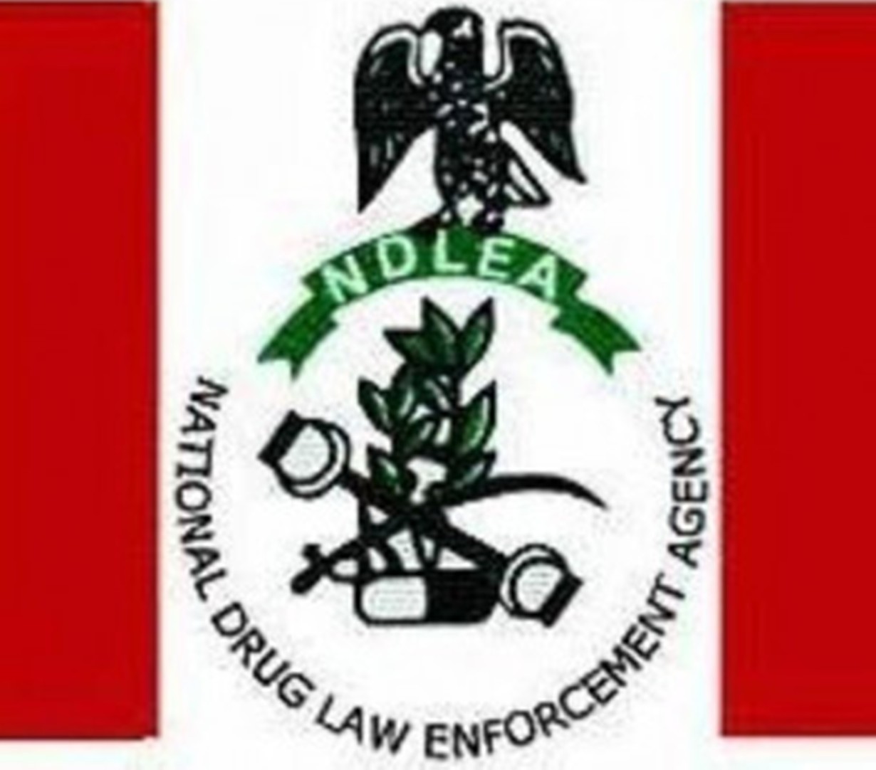 NDLEA boss warns personnel against hostage arrest, illegal detention