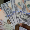 ABCON warns forex speculators as CBN sustains dollar sales to BDCs