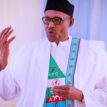 Elites not interested in rating but harassing my govt ― Buhari