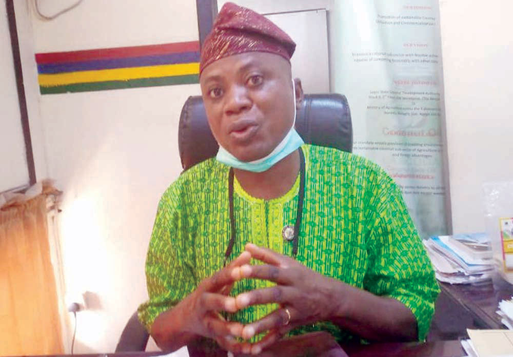 Why Lagos is hub for coconut processing in West Africa — Olakunlehin