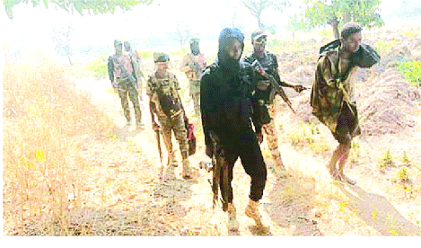 Insecurity in Sankera, Ado forest spells doom for farmers