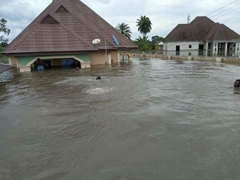 Residents yell as sea erodes embankment, houses in Delta community