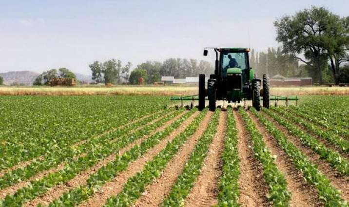 FG moves to galvanise mechanized farming, others with $1.2bn loan