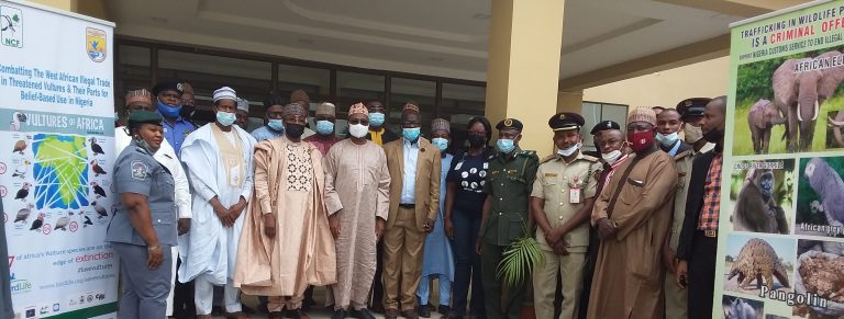 Nigeria lost 97% of forest resources to poaching – NCF