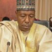 Repatriation: Cameroon hands over 5,000 Nigerian refugees to Borno gov