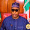 Poverty, illiteracy responsible for insurgency in Nigeria — Zulum