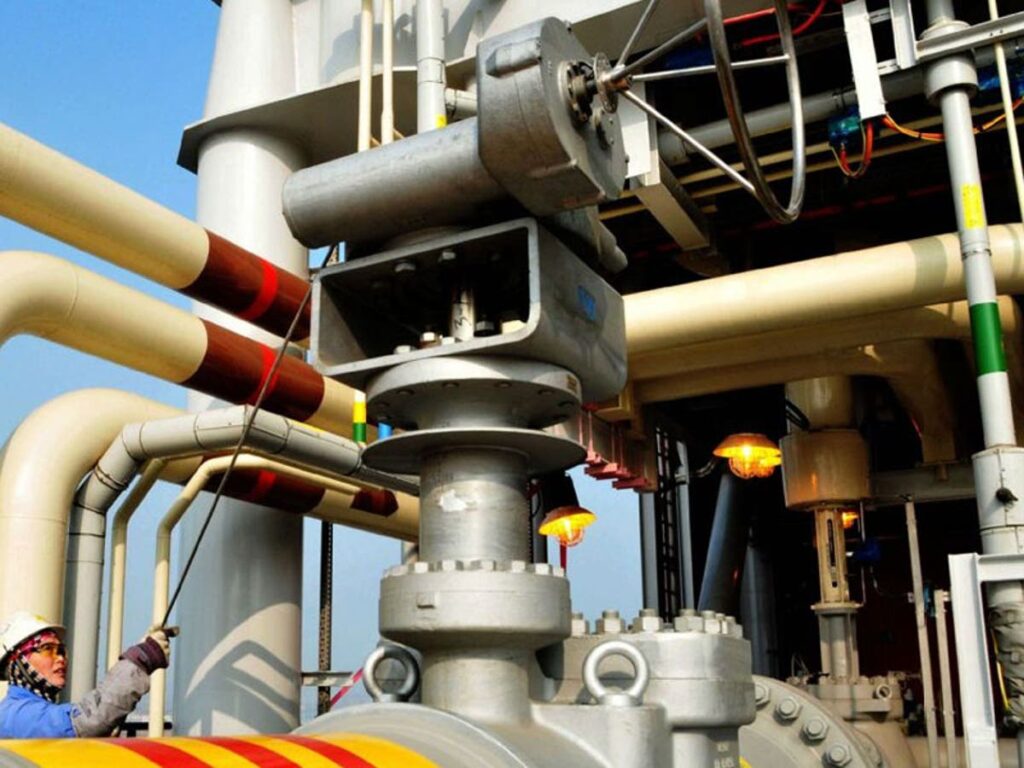 Reps Committeee on Gas, NPDC