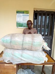 NDLEA arrests wanted Abia drug supplier, seizes 100kg of cocaine, cannabis