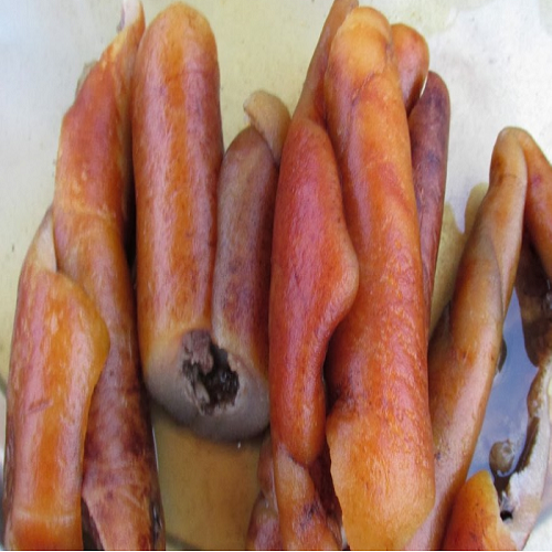 Shun consumption of animal skin to stave off cancer — Don advises