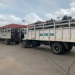 Lagos Taskforce impounds 81 motorcycles on restricted routes