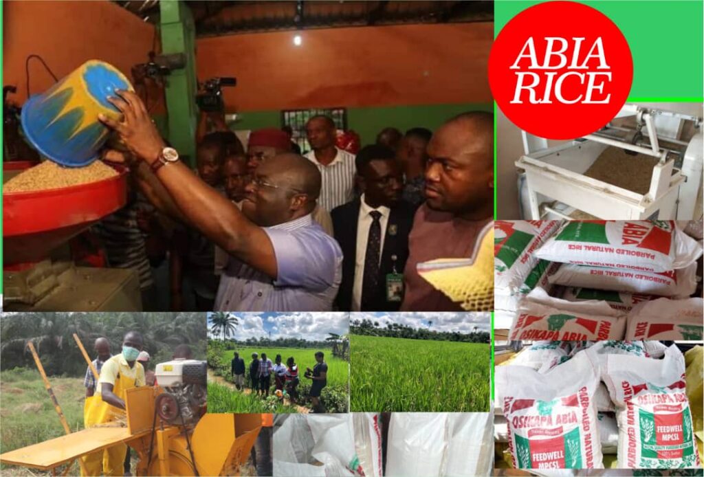 Kinetic Abia: Ikpeazu’s industrialisation agenda is delivering