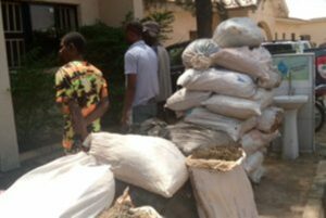 NDLEA arrests 89 suspected drug peddlers in Kaduna